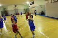Basket 443072
